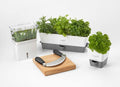 Burwell Self-Watering Triple Potted Herb Keeper - Cole & Mason